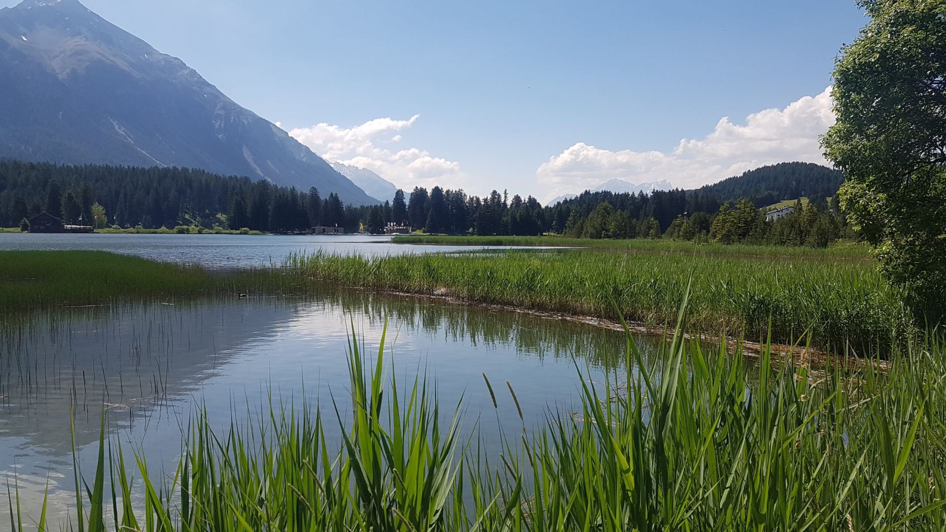 Bergpanorama Lenzerheide – Uehlinger Alpine Living AG